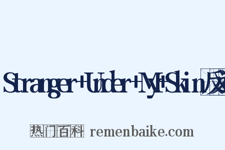 Stranger+Under+My+Skin反义词是什么意思的图片